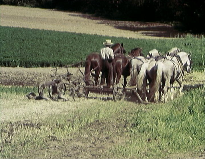 Szene aus dem Film THE PENNSYLVANIA DUTCH