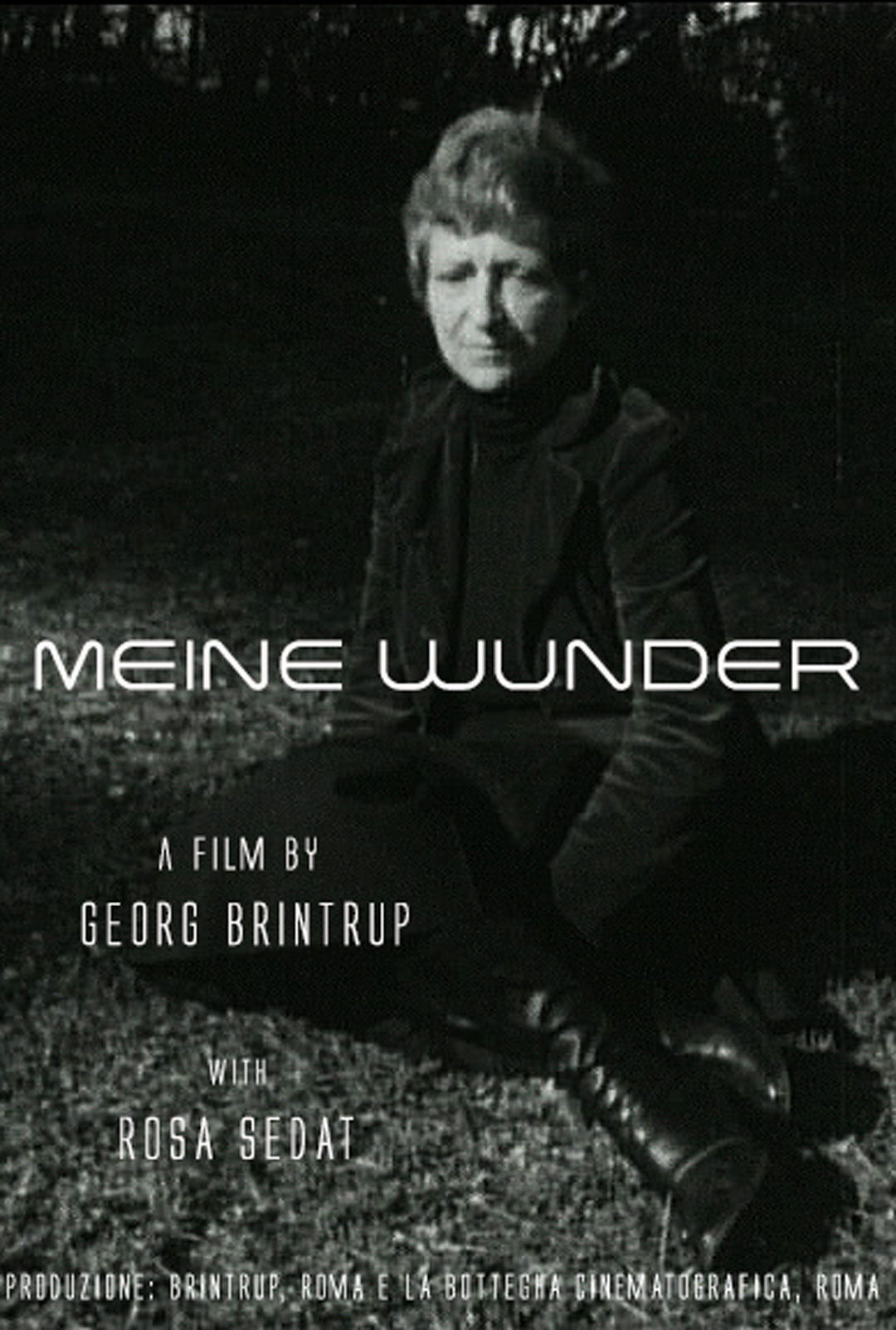 Poster of the film MEINE WUNDER (My Miracles)